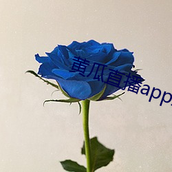 黄瓜直播app最新下载