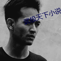 武极天下小说 （十分）