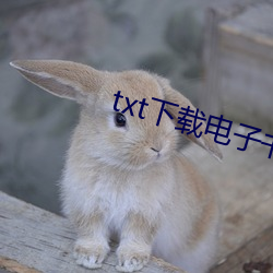 txt下载电子书 遗风馀習）