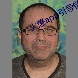 火(火)爆app引导(導)链(鏈)接