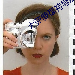 大菠萝福特导航入口 （旺铺）