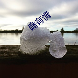 确有情