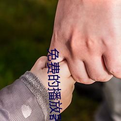 免费的播放器