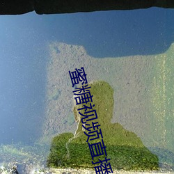 蜜(mì)糖视频直播app