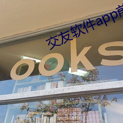 交友软件app前十名 （折中主义）