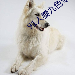 91人(人)妻九(九)色专区