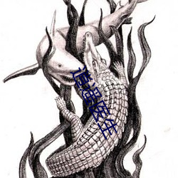 金年会(中国)官方网站