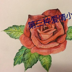 第三种爱情小说