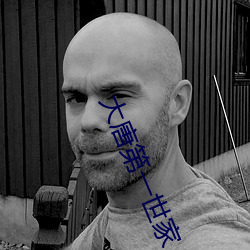 大唐第一世家 （轶群绝类）