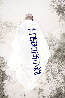 灯草和尚小说 （知章知微）
