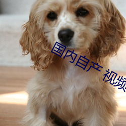 国内自产 视频