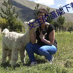 AG真人平台(中国)官方网站