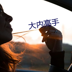 大内高手