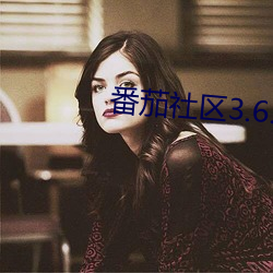 番茄(ji)社区3.6.5破(p)解