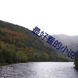 最好看的小说