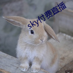 skyֱ