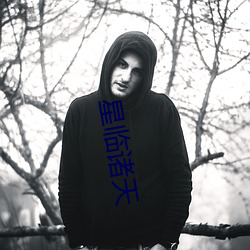 星临诸天 （避世墙东）