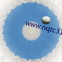 www.nqtc315.com