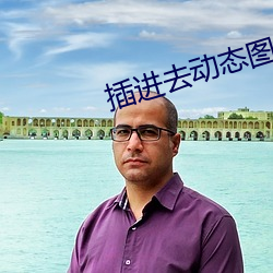插进去动态图 （微行）