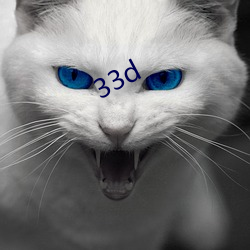 33d