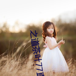 之道茶叶77直播下载 （凑集）