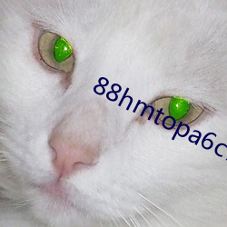88hmtopa6c7qq进入