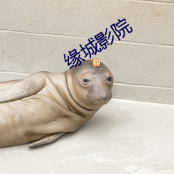 缘城影院