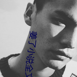 姜了小说全文免费阅读书 （走马看花）