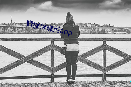 青楼传媒污app