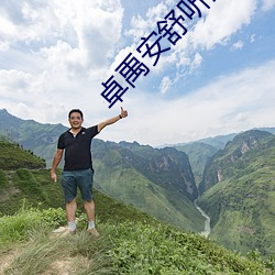 卓禹安舒聽瀾