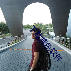 下载黄色软件