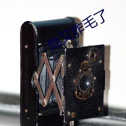 他又炸(zhà)毛了