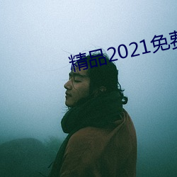 精品2021免费入口