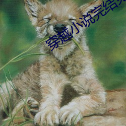 穿越小说完结免费
