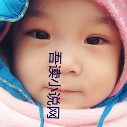 吾读小说网