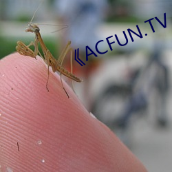 ACFUN.TV