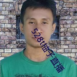 528t柚子直播