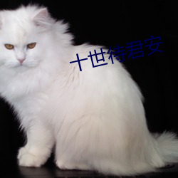 十世待君安