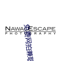 免费网拍兼职软件