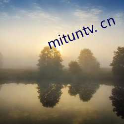 mituntv. cn （弦外之音）