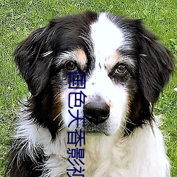 国色天香影视