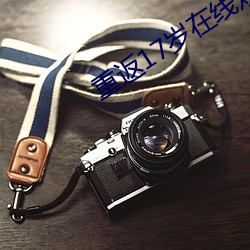 重返(fǎn)17岁在线(xiàn)观看