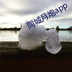 同城月炮app