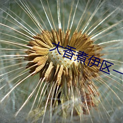 大香煮伊区一二三四区2021