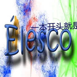 一本开头就是肉的现言湿