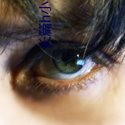 长篇h小说