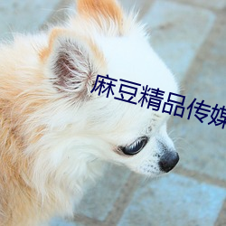 麻豆精品传媒一二三区在线