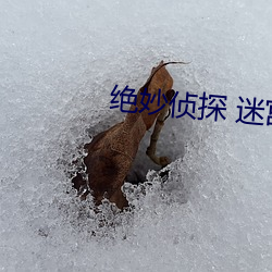 绝妙侦探 迷宫