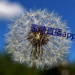 vwinӮ(й) - ٷվ