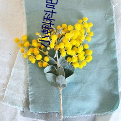 小蝌科吧xkdsp （结驷连镳）
